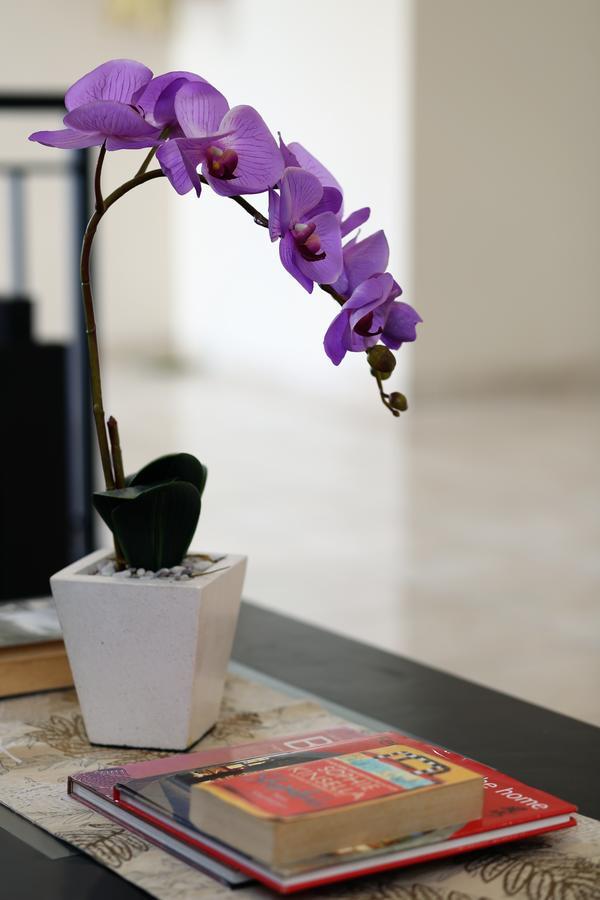 Cameng Homestay Ντενπασάρ Εξωτερικό φωτογραφία