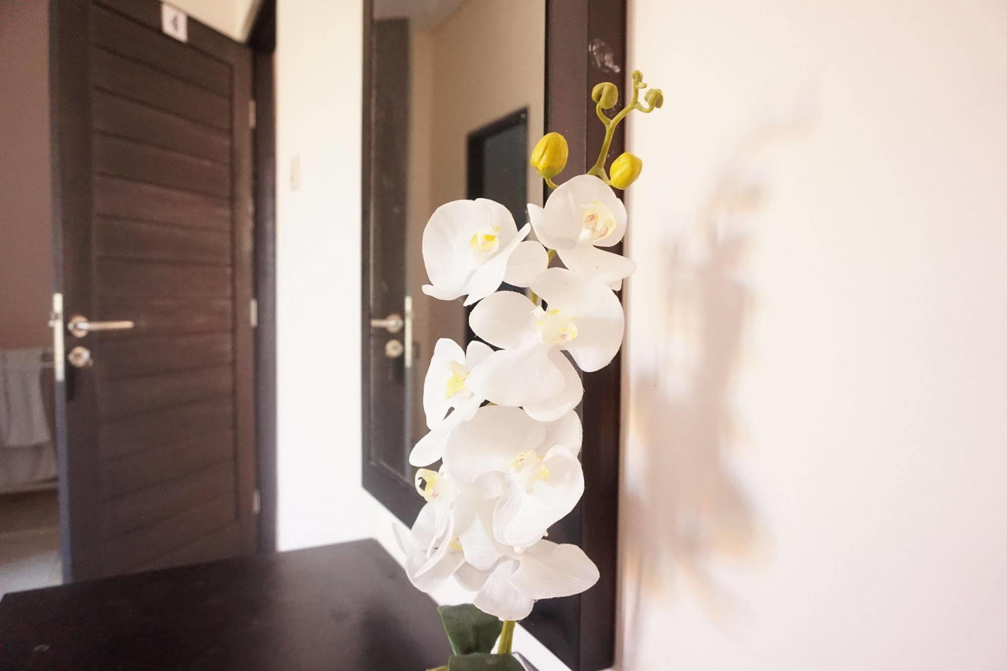 Cameng Homestay Ντενπασάρ Εξωτερικό φωτογραφία